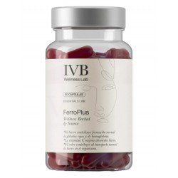 ferroplus ivb isabel viñas