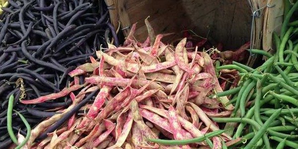 ¿Qué son los alimentos astringentes?