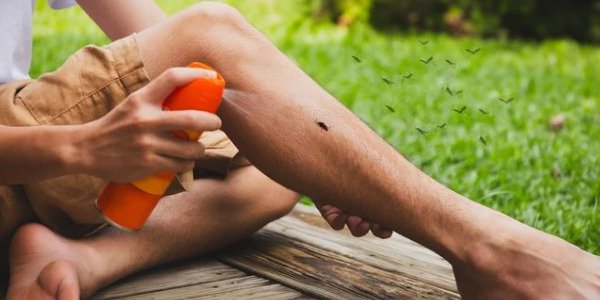 Cómo Elegir el Mejor Antimosquitos: Guía Completa para Mantener a Raya a los Insectos