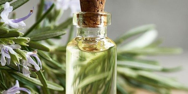 Alcohol de Romero: Propiedades, Usos y Beneficios para tu Salud