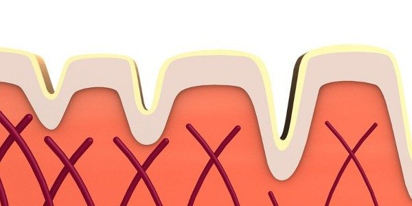 ¿Qué es el colágeno marino?