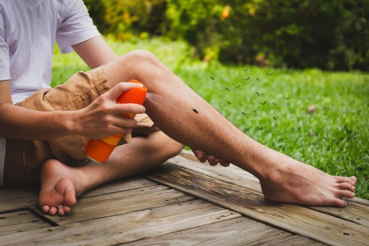 Cómo Elegir el Mejor Antimosquitos: Guía Completa para Mantener a Raya a los Insectos