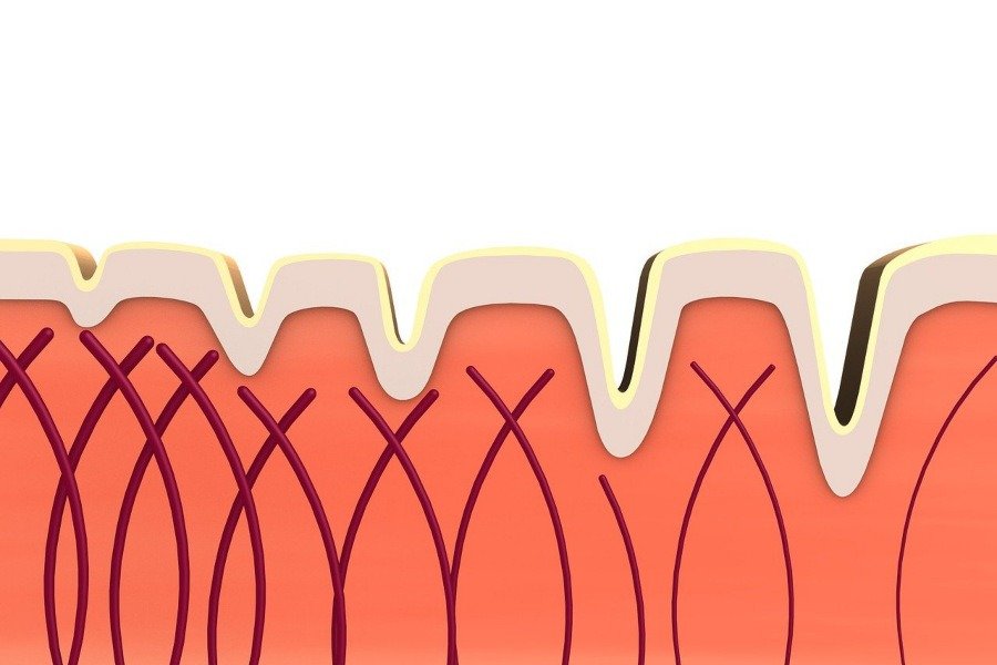 ¿Qué es el colágeno marino?